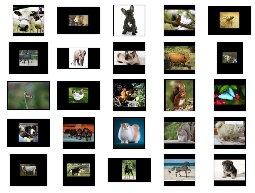 Figure 3: Examples of some of the images in the dataset
